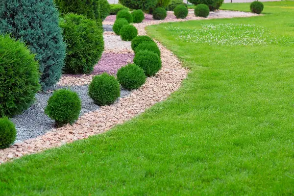Lawn Maintenance Lawn Maintenance